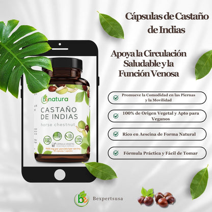 Castaño de Indias (Rosskastanie) Kapseln – 1500 mg pro Portion, 90 vegane Kapseln, 100% natürliches Premium-Nahrungsergänzungsmittel, Hergestellt in den USA – Unterstützt Kreislauf- und Venengesundheit