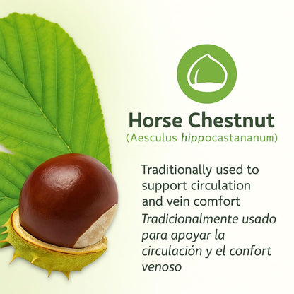 Castaño de Indias (Rosskastanie) Kapseln – 1500 mg pro Portion, 90 vegane Kapseln, 100% natürliches Premium-Nahrungsergänzungsmittel, Hergestellt in den USA – Unterstützt Kreislauf- und Venengesundheit