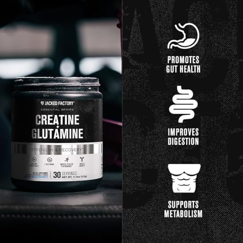 Jacked Factory Creatin + Glutamin – Creatinpräparat mit L-Glutamin für Muskelregeneration, Muskelwachstum, gesteigerte Kraft, erhöhte Energieabgabe und Darmgesundheit – 30 Portionen, Blaue Himbeere