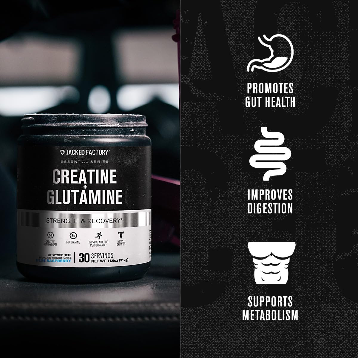 Jacked Factory Creatin + Glutamin – Creatinpräparat mit L-Glutamin für Muskelregeneration, Muskelwachstum, gesteigerte Kraft, erhöhte Energieabgabe und Darmgesundheit – 30 Portionen, Blaue Himbeere
