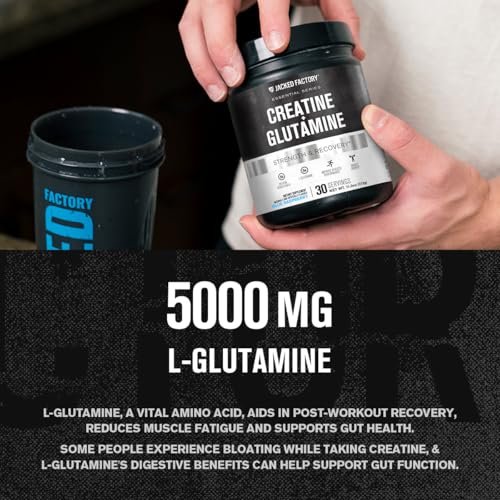 Jacked Factory Creatin + Glutamin – Creatinpräparat mit L-Glutamin für Muskelregeneration, Muskelwachstum, gesteigerte Kraft, erhöhte Energieabgabe und Darmgesundheit – 30 Portionen, Blaue Himbeere