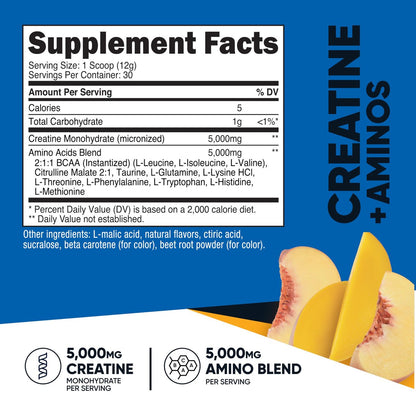 Nutricost Creatine + Aminos 30 Portionen (Pfirsich-Mango-Geschmack) - 5.000 mg Kreatin-Monohydrat + 5.000 mg BCAA-Aminosäuremischung pro Portion
