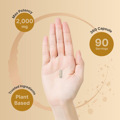 NatureBell Psyllium-Faser-Kapseln, 2.000 mg pro Portion, 360 Kapseln | Löslicher Ballaststoff | 3-in-1 mit Inulin & Chiasamen | Pflanzlich, Nicht-GVO, Glutenfrei