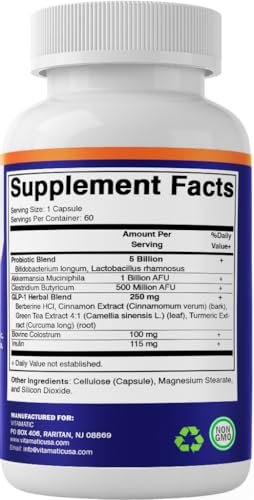 Vitamatic GLP-1 Unterstützung für Männer & Frauen, 60 Kapseln - mit Akkermansia, Probiotika, Präbiotikum, Clostridium, Berberin, Zimt, grünem Tee, Kurkuma & Kolostrum