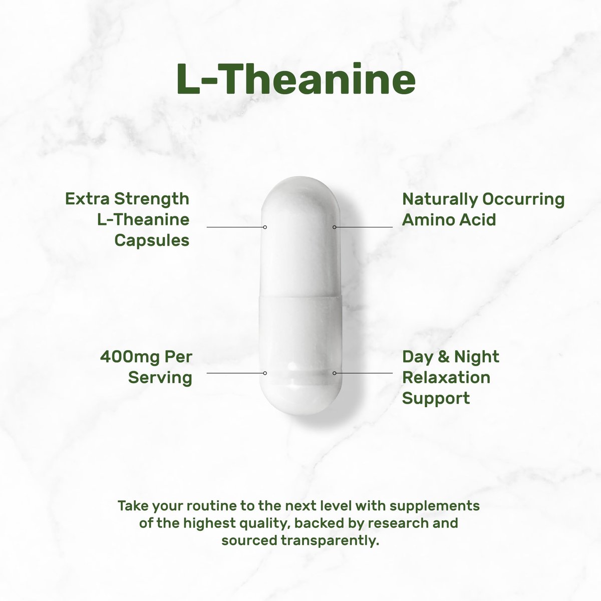 L-Theanin 400 mg, 400 Kapseln – Hochdosiertes Theanin-Präparat – Aminosäure für Fokus und Entspannung – Non-GMO & Glutenfrei