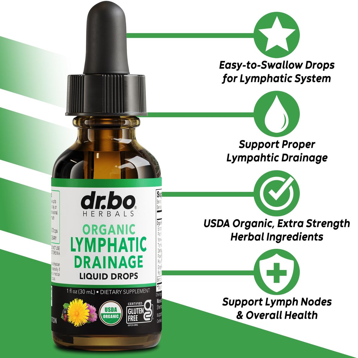 Lymphatische Drainage Tropfen – Bio Lymphsystem Unterstützung Liquid Drops mit Echinacea, Lymphknoten Detox Cleanse – 30ml Non-GMO