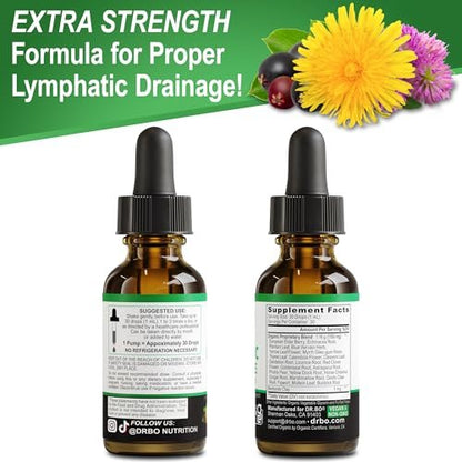 Lymphatische Drainage Tropfen – Bio Lymphsystem Unterstützung Liquid Drops mit Echinacea, Lymphknoten Detox Cleanse – 30ml Non-GMO
