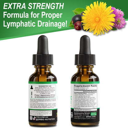 Lymphatische Drainage Tropfen – Bio Lymphsystem Unterstützung Liquid Drops mit Echinacea, Lymphknoten Detox Cleanse – 30ml Non-GMO