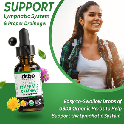 Lymphatische Drainage Tropfen – Bio Lymphsystem Unterstützung Liquid Drops mit Echinacea, Lymphknoten Detox Cleanse – 30ml Non-GMO