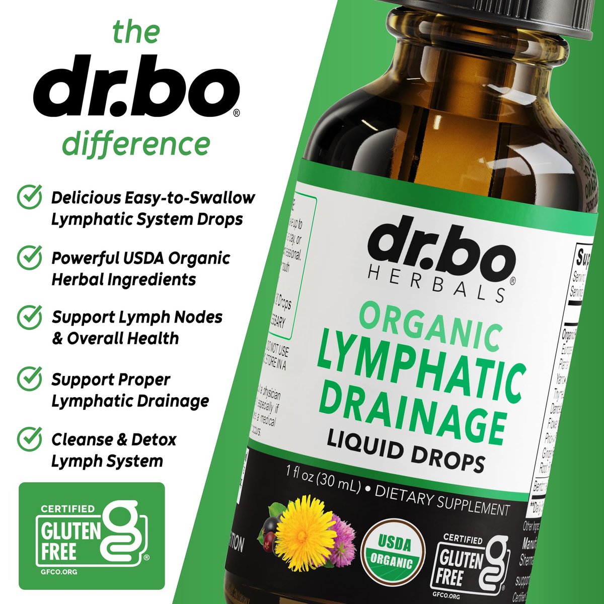 Lymphatische Drainage Tropfen – Bio Lymphsystem Unterstützung Liquid Drops mit Echinacea, Lymphknoten Detox Cleanse – 30ml Non-GMO