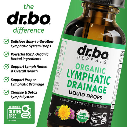 Lymphatische Drainage Tropfen – Bio Lymphsystem Unterstützung Liquid Drops mit Echinacea, Lymphknoten Detox Cleanse – 30ml Non-GMO