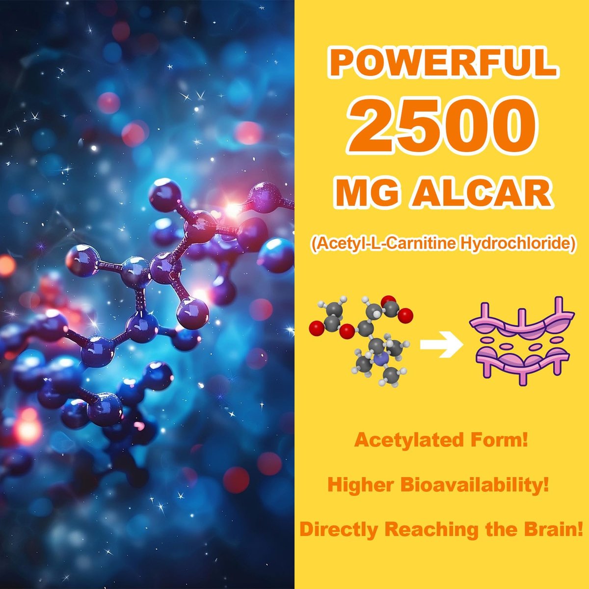 Acetyl-L-Carnitin Gummies Zuckerfrei, Premium L-Carnitin Nahrungsergänzung für Frauen & Männer, ALCAR für Energie, Muskeln, Fokus & Gehirn, Glutenfrei, Vegan, Ananasgeschmack, 60 Stück