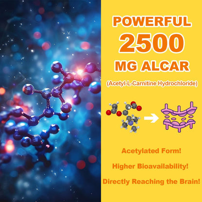 Acetyl-L-Carnitin Gummies Zuckerfrei, Premium L-Carnitin Nahrungsergänzung für Frauen & Männer, ALCAR für Energie, Muskeln, Fokus & Gehirn, Glutenfrei, Vegan, Ananasgeschmack, 60 Stück