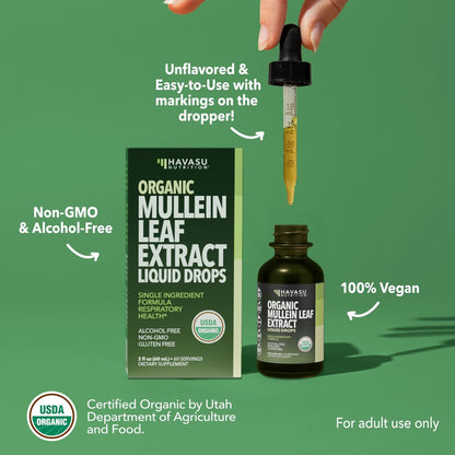 HAVASU NUTRITION Bio Königskerzen-Tropfen für die Lunge – USDA Bio Königskerzenblattextrakt – Unterstützung der Atemwegsgesundheit – 2 Fl Oz – Vegan, ohne Gentechnik und alkoholfrei – Kräutertinktur – 2-Monats-Vorrat