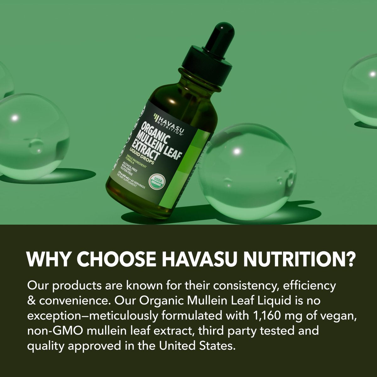 HAVASU NUTRITION Bio Königskerzen-Tropfen für die Lunge – USDA Bio Königskerzenblattextrakt – Unterstützung der Atemwegsgesundheit – 2 Fl Oz – Vegan, ohne Gentechnik und alkoholfrei – Kräutertinktur – 2-Monats-Vorrat