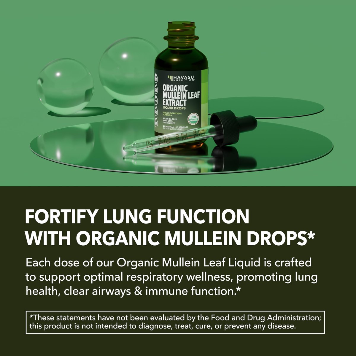 HAVASU NUTRITION Bio Königskerzen-Tropfen für die Lunge – USDA Bio Königskerzenblattextrakt – Unterstützung der Atemwegsgesundheit – 2 Fl Oz – Vegan, ohne Gentechnik und alkoholfrei – Kräutertinktur – 2-Monats-Vorrat