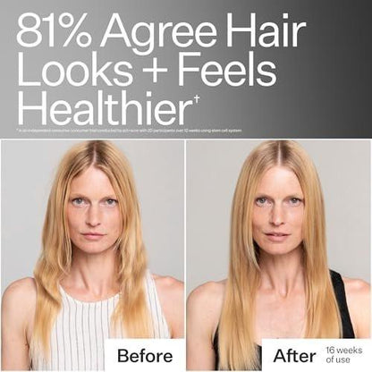 Act+Acre Stammzellen-Conditioner | Stärkt Spitzen, verleiht Glanz, hydratisiert feines Haar | Apfelstammzellen, Rizinusöl, Antioxidantien | Leicht, vegan, Cold Processed®, farbsicher | 295 ml