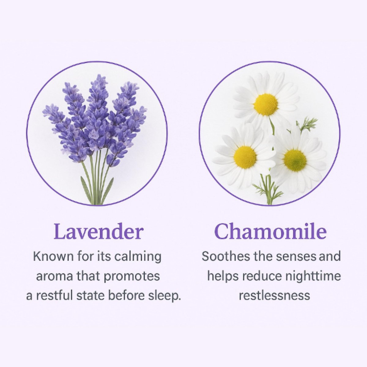 Kissenspray – Lavendel Kamille Schlafspray mit ätherischen Ölen – Entspannender Aromatherapie-Nebel für Kissen, Bettwäsche und Textilien – Nachtkissennebel – 75 ml (2,5 fl oz) von Beyond Wicks