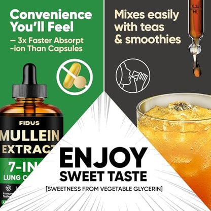 Fidus Mullein-Tropfen für die Lunge, 120 Portionen - Mulleinblatt mit 7 Kräutern: Echinacea, Oregano, Ingwer, Holunderbeere, Eibischwurzel & Thymian - Lungendetox für Raucher - Unterstützung für Atemwege, Immunsystem & Lymphdrainage