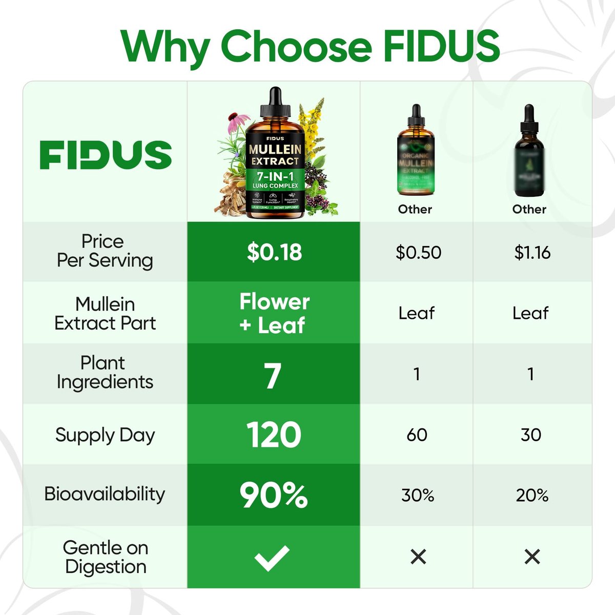 Fidus Mullein-Tropfen für die Lunge, 120 Portionen - Mulleinblatt mit 7 Kräutern: Echinacea, Oregano, Ingwer, Holunderbeere, Eibischwurzel & Thymian - Lungendetox für Raucher - Unterstützung für Atemwege, Immunsystem & Lymphdrainage