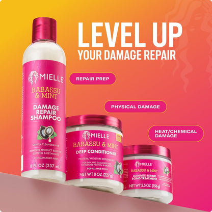 Mielle Organics Babassu & Mint Damage Repair Bond Treatment für chemisch und thermisch geschädigtes Haar, 5,5 Unzen