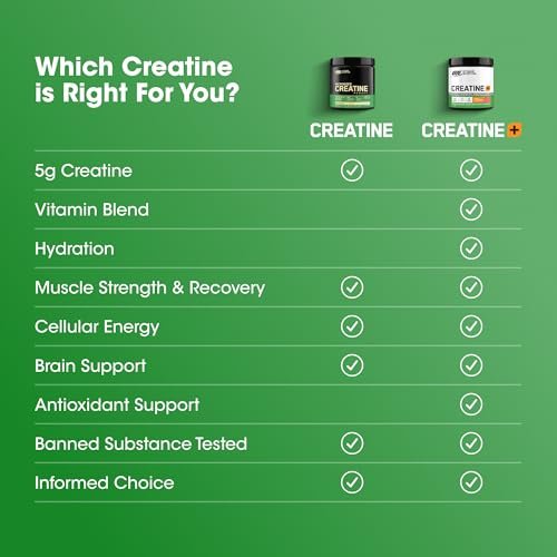 Optimum Nutrition Creatine Monohydrat Plus Pulver – Orangen-Passionsfrucht Geschmack, mit Elektrolyten & Vitaminen, 40 Portionen, 360 g