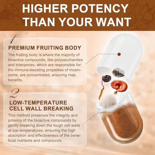 NATURE TARGET 14-in-1 Pilz-Komplex – Löwenmähne, Cordyceps, Reishi, Turkey Tail – Koffeinfreie Energie, Gedächtnis & Immununterstützung – Vegan, 120 Kapseln