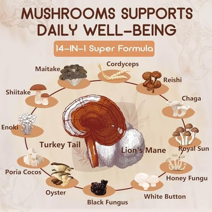 NATURE TARGET 14-in-1 Pilz-Komplex – Löwenmähne, Cordyceps, Reishi, Turkey Tail – Koffeinfreie Energie, Gedächtnis & Immununterstützung – Vegan, 120 Kapseln
