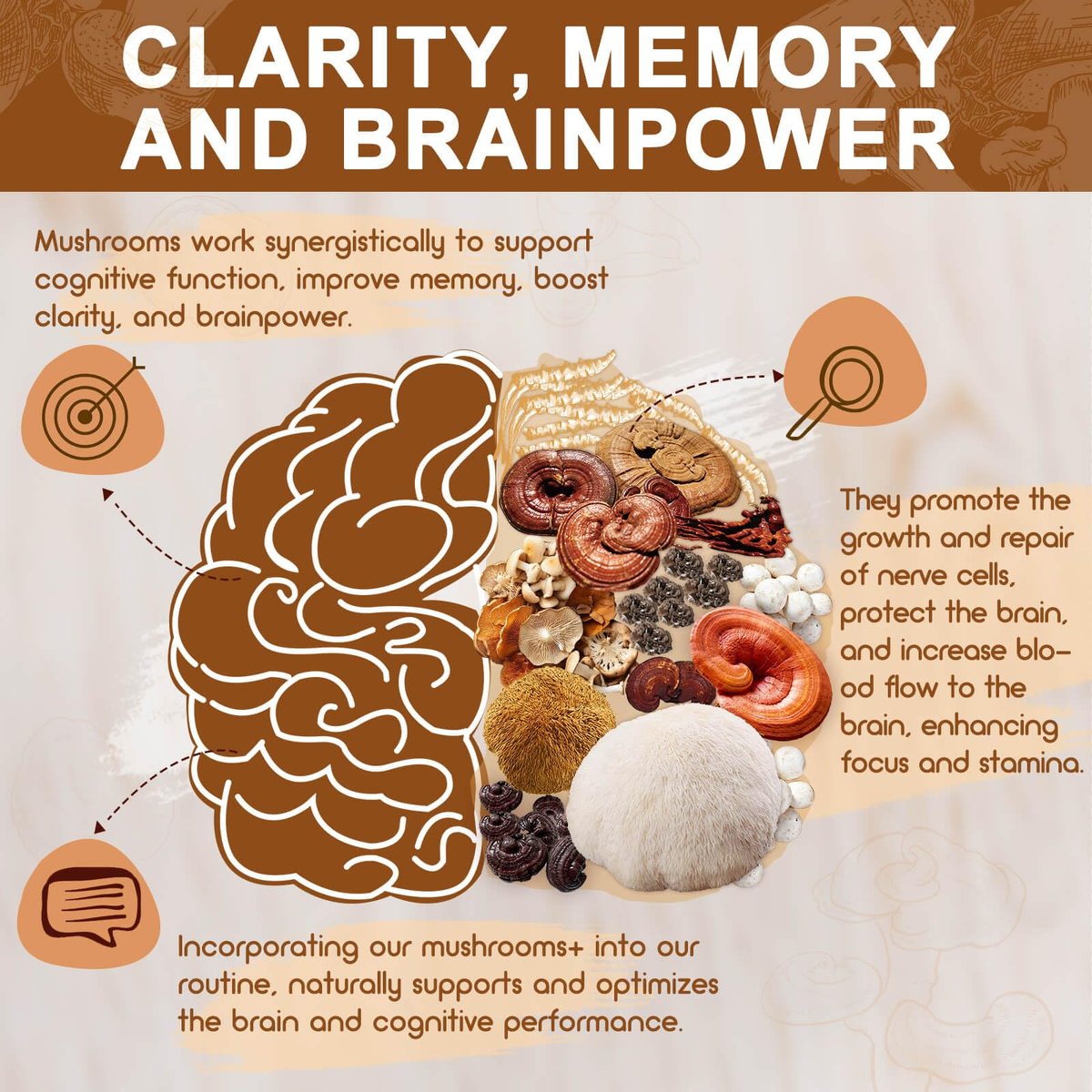 NATURE TARGET 14-in-1 Pilz-Komplex – Löwenmähne, Cordyceps, Reishi, Turkey Tail – Koffeinfreie Energie, Gedächtnis & Immununterstützung – Vegan, 120 Kapseln