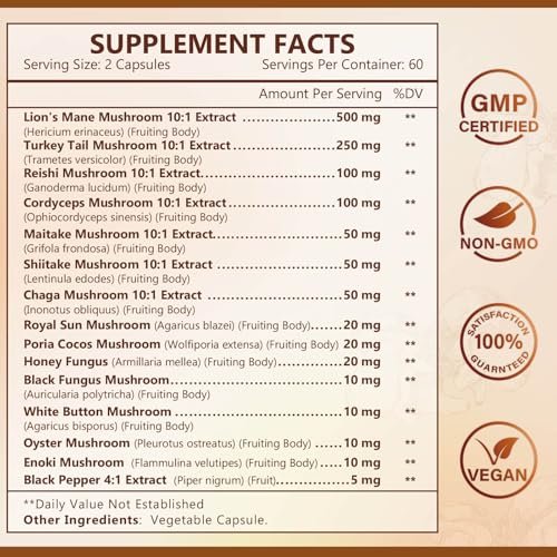 NATURE TARGET 14-in-1 Pilz-Komplex – Löwenmähne, Cordyceps, Reishi, Turkey Tail – Koffeinfreie Energie, Gedächtnis & Immununterstützung – Vegan, 120 Kapseln