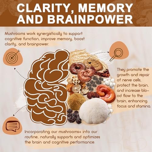 NATURE TARGET 14-in-1 Pilz-Komplex – Löwenmähne, Cordyceps, Reishi, Turkey Tail – Koffeinfreie Energie, Gedächtnis & Immununterstützung – Vegan, 120 Kapseln