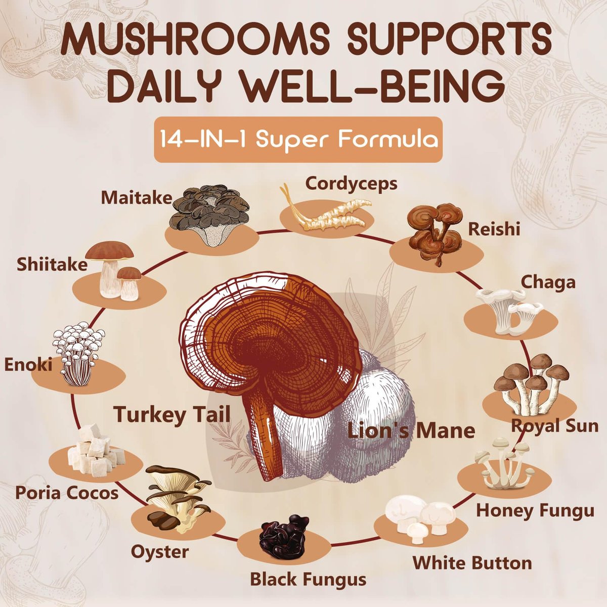 NATURE TARGET 14-in-1 Pilz-Komplex – Löwenmähne, Cordyceps, Reishi, Turkey Tail – Koffeinfreie Energie, Gedächtnis & Immununterstützung – Vegan, 120 Kapseln