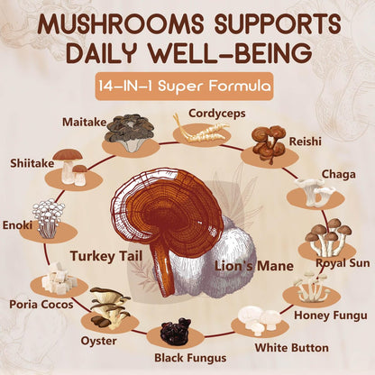 NATURE TARGET 14-in-1 Pilz-Komplex – Löwenmähne, Cordyceps, Reishi, Turkey Tail – Koffeinfreie Energie, Gedächtnis & Immununterstützung – Vegan, 120 Kapseln