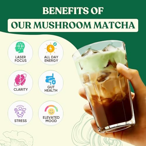 Venture Pal Pilz-Matcha-Pulver – 13 Superfood-Pilz-Kaffee-Alternative mit zeremoniellem Matcha-Pulver, 1,5B Probiotika für Konzentration, Energie & Verdauung