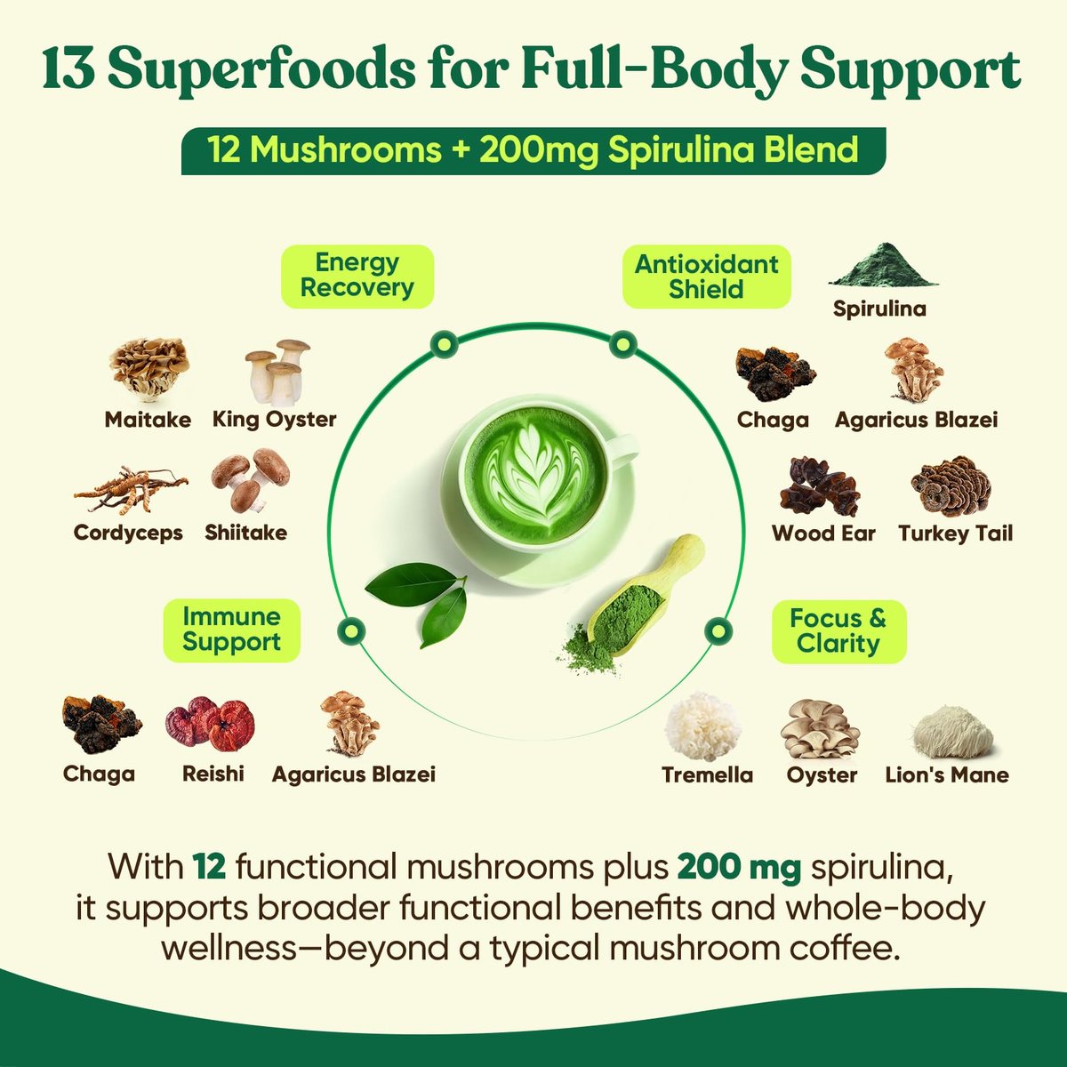 Venture Pal Pilz-Matcha-Pulver – 13 Superfood-Pilz-Kaffee-Alternative mit zeremoniellem Matcha-Pulver, 1,5B Probiotika für Konzentration, Energie & Verdauung