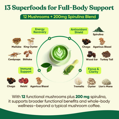 Venture Pal Pilz-Matcha-Pulver – 13 Superfood-Pilz-Kaffee-Alternative mit zeremoniellem Matcha-Pulver, 1,5B Probiotika für Konzentration, Energie & Verdauung