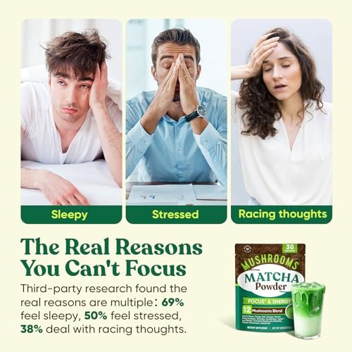 Venture Pal Pilz-Matcha-Pulver – 13 Superfood-Pilz-Kaffee-Alternative mit zeremoniellem Matcha-Pulver, 1,5B Probiotika für Konzentration, Energie & Verdauung