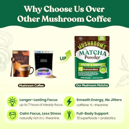Venture Pal Pilz-Matcha-Pulver – 13 Superfood-Pilz-Kaffee-Alternative mit zeremoniellem Matcha-Pulver, 1,5B Probiotika für Konzentration, Energie & Verdauung