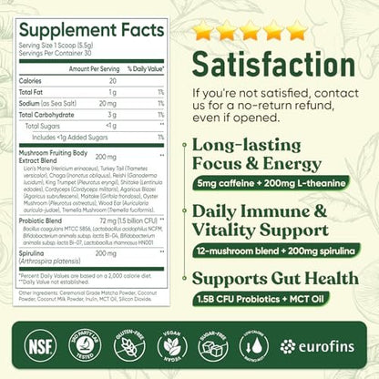 Venture Pal Pilz-Matcha-Pulver – 13 Superfood-Pilz-Kaffee-Alternative mit zeremoniellem Matcha-Pulver, 1,5B Probiotika für Konzentration, Energie & Verdauung