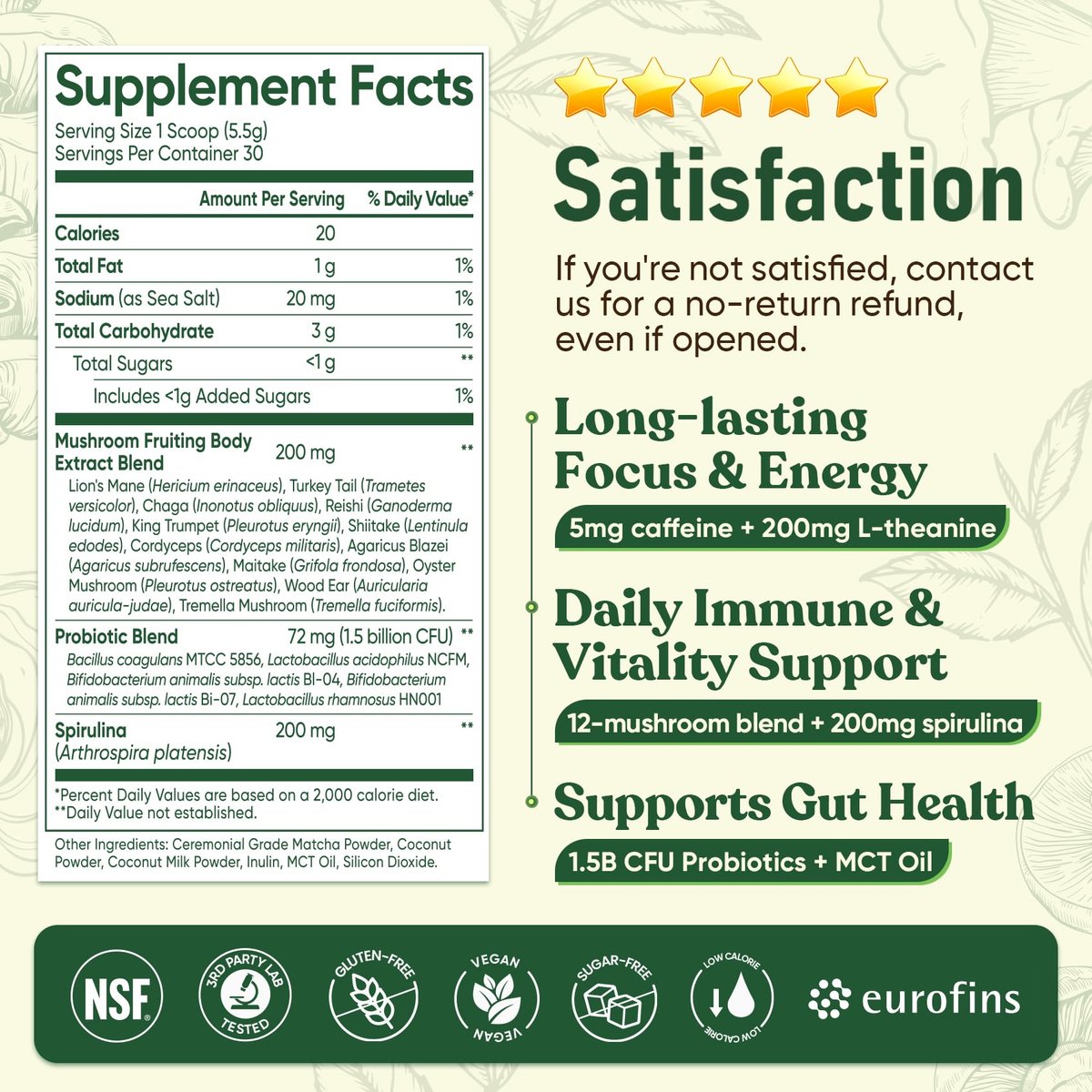 Venture Pal Pilz-Matcha-Pulver – 13 Superfood-Pilz-Kaffee-Alternative mit zeremoniellem Matcha-Pulver, 1,5B Probiotika für Konzentration, Energie & Verdauung