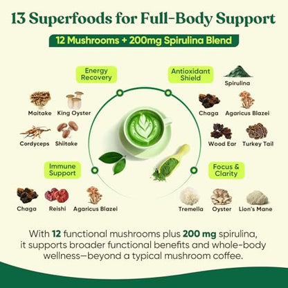 Venture Pal Pilz-Matcha-Pulver – 13 Superfood-Pilz-Kaffee-Alternative mit zeremoniellem Matcha-Pulver, 1,5B Probiotika für Konzentration, Energie & Verdauung