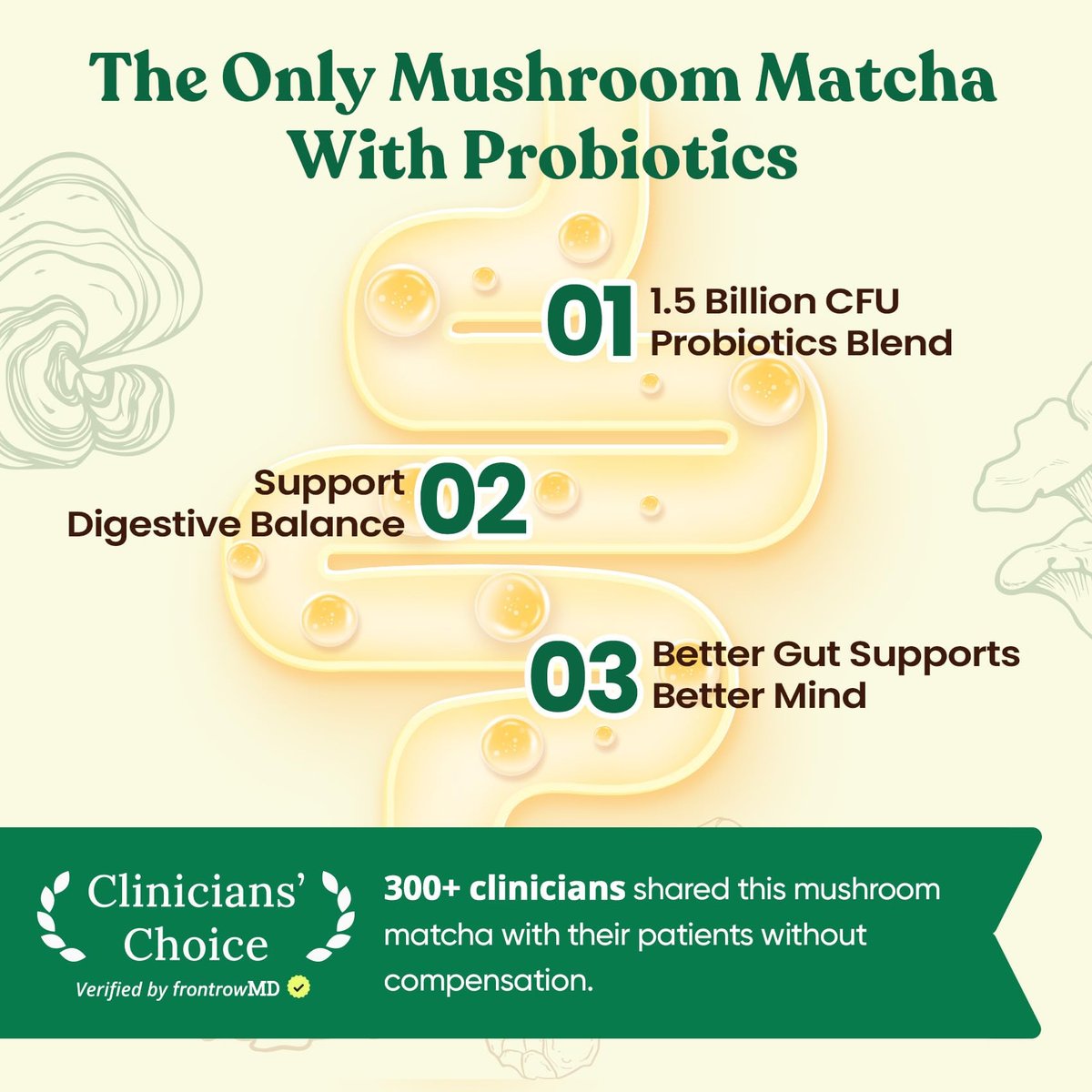 Venture Pal Pilz-Matcha-Pulver – 13 Superfood-Pilz-Kaffee-Alternative mit zeremoniellem Matcha-Pulver, 1,5B Probiotika für Konzentration, Energie & Verdauung