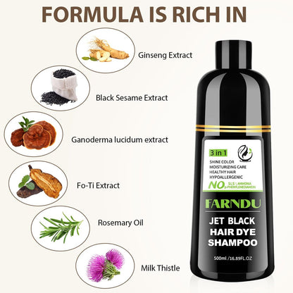 Farndu Jet Black Haar Tönungs Shampoo – Ammoniakfrei & PPD-frei, Natürliche Kräuter 3-in-1 Haarfarben Shampoo für Graue Haare bei Frauen und Männern