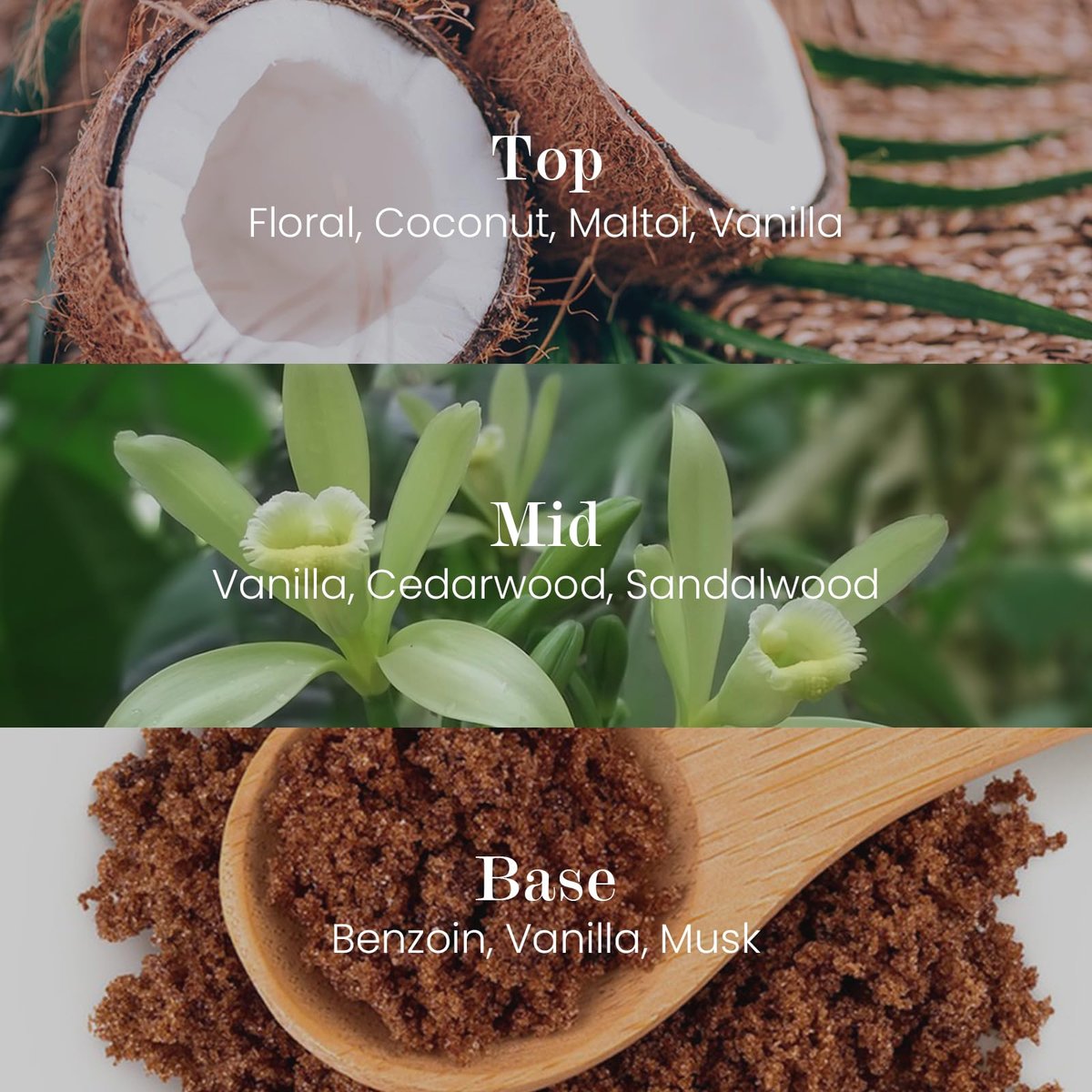 M&SENSE Natürliche Sojakerze | Vanille Sandelholz | 5,3 oz | Mini Frühlingsduftkerzen für Entspannung, Valentinstag Geschenk, Wohnkultur | für Schlafzimmer, Büro, Party Klein