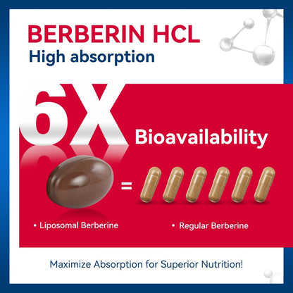URDRU 3-in-1 Liposomales Berberin Supplement 1500mg – mit Ceylon-Zimt & Gymnema, hohe Bioverfügbarkeit Berberin Kapseln für Frauen und Männer, AMPK-Aktivator