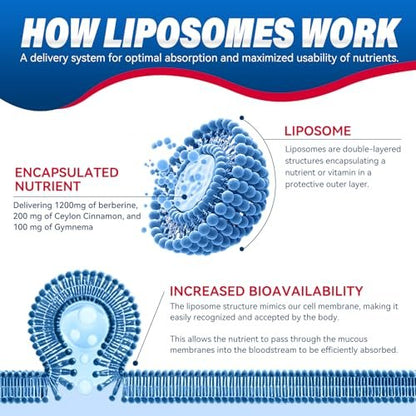 URDRU 3-in-1 Liposomales Berberin Supplement 1500mg – mit Ceylon-Zimt & Gymnema, hohe Bioverfügbarkeit Berberin Kapseln für Frauen und Männer, AMPK-Aktivator