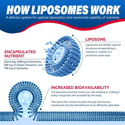 URDRU 3-in-1 Liposomales Berberin Supplement 1500mg – mit Ceylon-Zimt & Gymnema, hohe Bioverfügbarkeit Berberin Kapseln für Frauen und Männer, AMPK-Aktivator