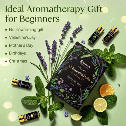 Ätherische Öle Set, 12 Stück reine ätherische Öle für Diffuser, Luftbefeuchter, Hautpflege, Massage, Duftöl für DIY Kerzen und Seifenherstellung, Geschenk für Freunde