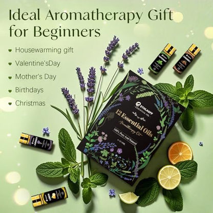 Ätherische Öle Set, 12 Stück reine ätherische Öle für Diffuser, Luftbefeuchter, Hautpflege, Massage, Duftöl für DIY Kerzen und Seifenherstellung, Geschenk für Freunde