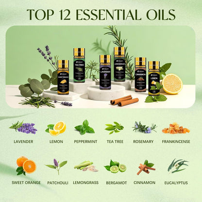Ätherische Öle Set, 12 Stück reine ätherische Öle für Diffuser, Luftbefeuchter, Hautpflege, Massage, Duftöl für DIY Kerzen und Seifenherstellung, Geschenk für Freunde